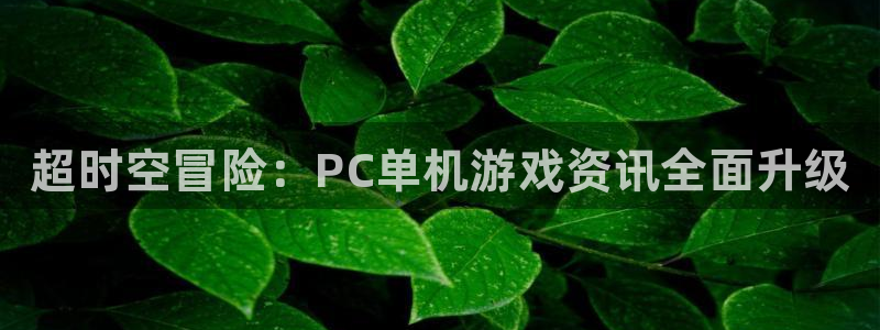 欧博娱乐登录地址：超时空冒险：PC单机游戏资讯全面升级