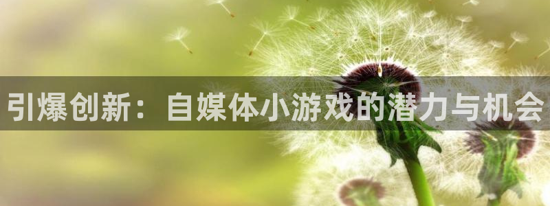 欧博娱乐平台注册：引爆创新：自媒体小游戏的潜力与机会