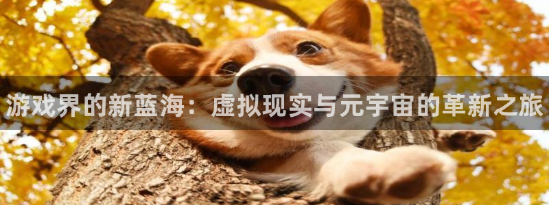 欧博娱乐平台注册资金多少：游戏界的新蓝海：虚拟现实与元宇宙的