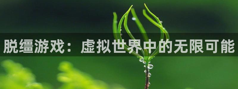 沐春欧博娱乐：脱缰游戏：虚拟世界中的无限可能