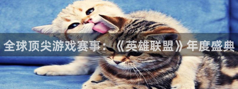 欧博娱乐平台官网入口：全球顶尖游戏赛事：《英雄联盟》年度盛典