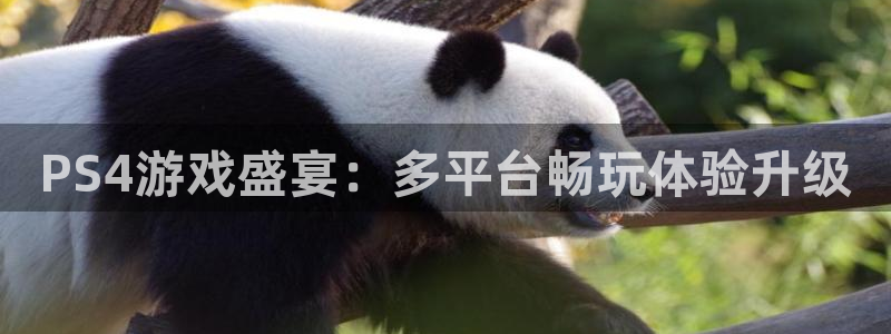欧博娱乐app：PS4游戏盛宴：多平台畅玩体验升级